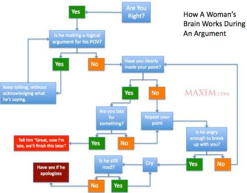 Flow Chart of the Day, Part 1 of 2: How A Woman’s Brain Works During An Argument. Presented without comment. [via.] See Also: How A Man’s Brain Works During An Argument.