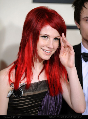 amy lee or hayley williams